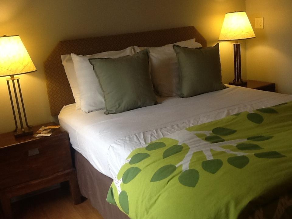 Zenyard Guest House Phoenix Quarto foto